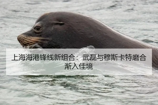 上海海港锋线新组合：武磊与穆斯卡特磨合渐入佳境