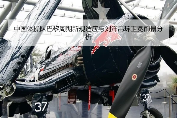中国体操队巴黎周期新规适应与刘洋吊环卫冕前景分析