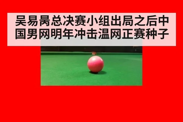 吴易昺总决赛小组出局之后中国男网明年冲击温网正赛种子